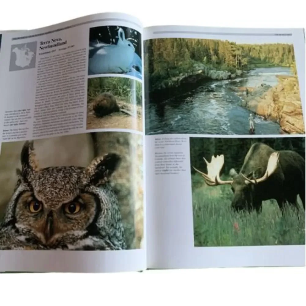 The National Parks Of The U.S.A. by James V. Murfin Hardcover 1989 - Picture 8 of 13